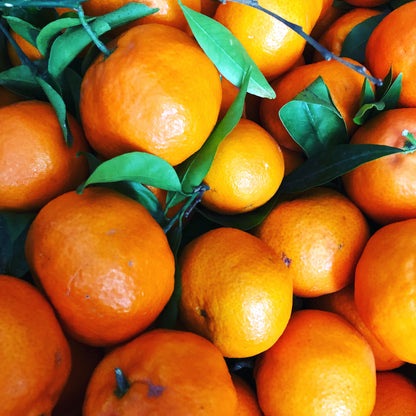 オレンジとシナモンのコンフィチュール