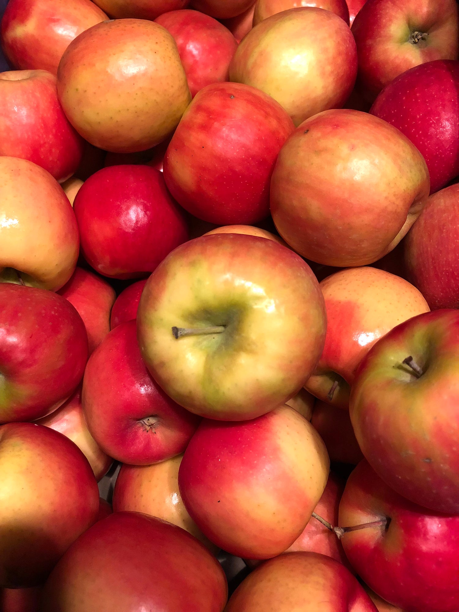 リンゴのコンフィチュール - タルト・タタン⾵